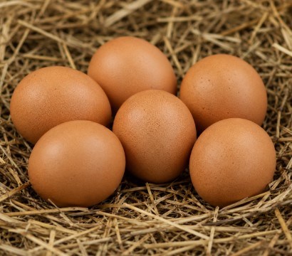 Fresh Farm Eggs